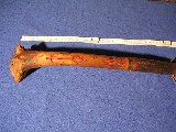 Maskenbilder 007.jpg